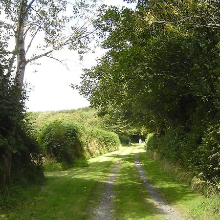 Holdstrong Farmhouse Lydford Екстериор снимка