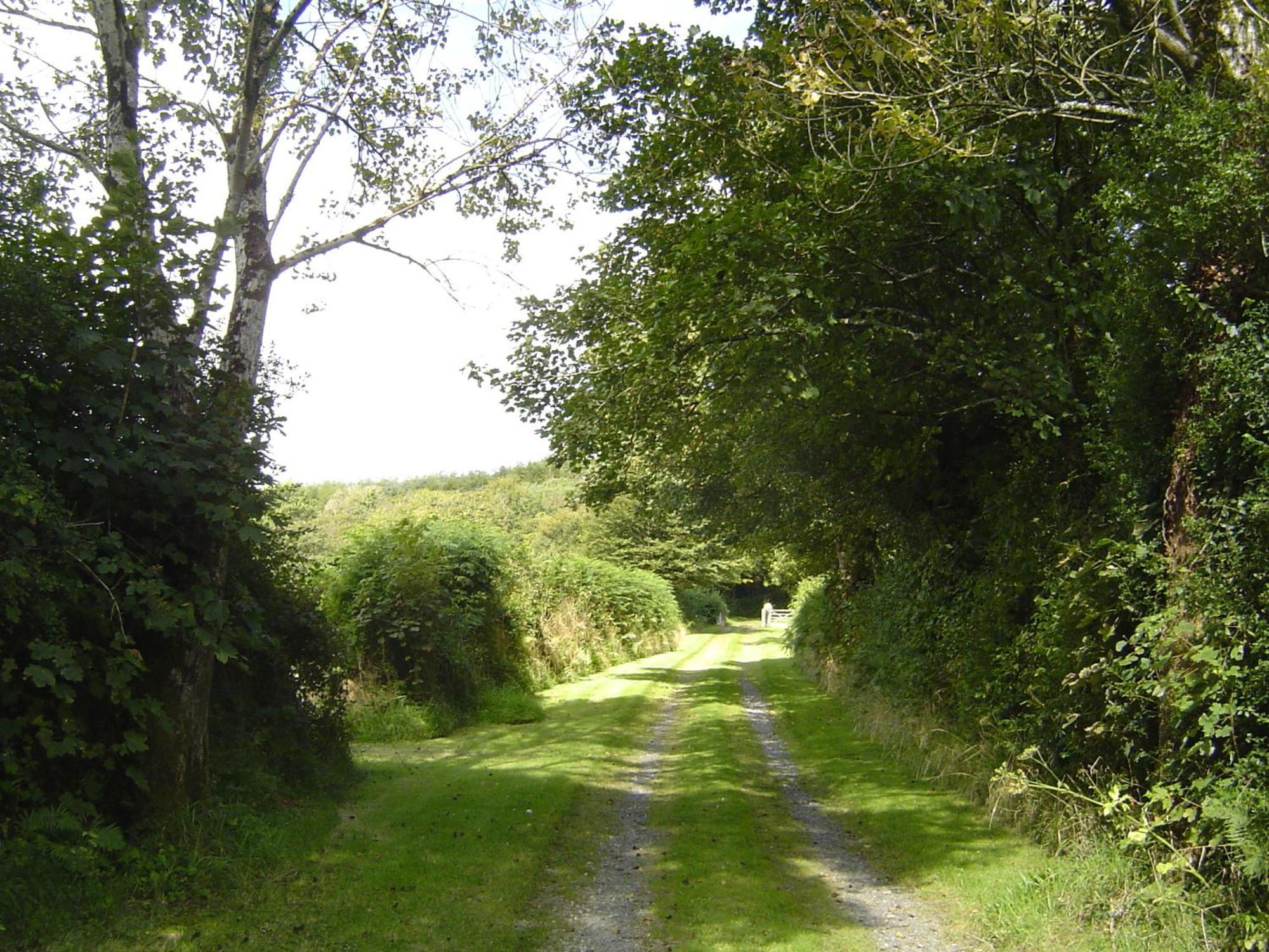 Holdstrong Farmhouse Lydford Екстериор снимка